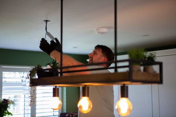 Best Affordable Electrician  in Farmington, MN