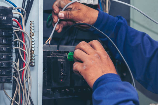 Best Electrician for Home Renovation  in Farmington, MN